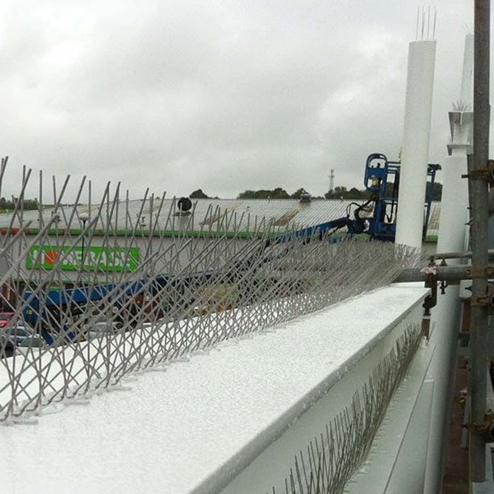 Bird Spikes | Bird Control Spikes | Bird Deterrent Spikes (per 50 cm strip): image 6