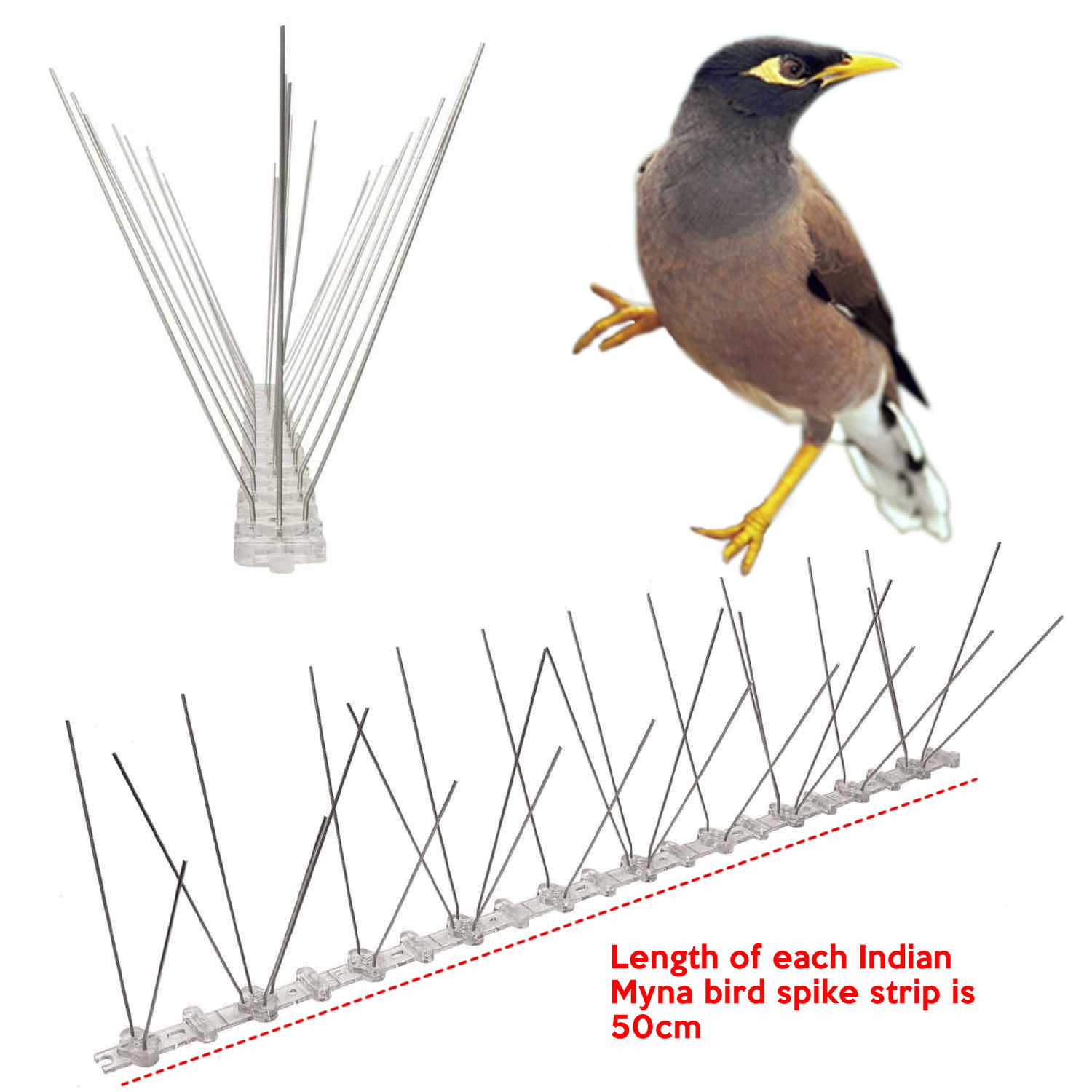 Anti-Indian Myna Spikes | Indian Myna Deterrent Spike Strips (per 50 cm strip)