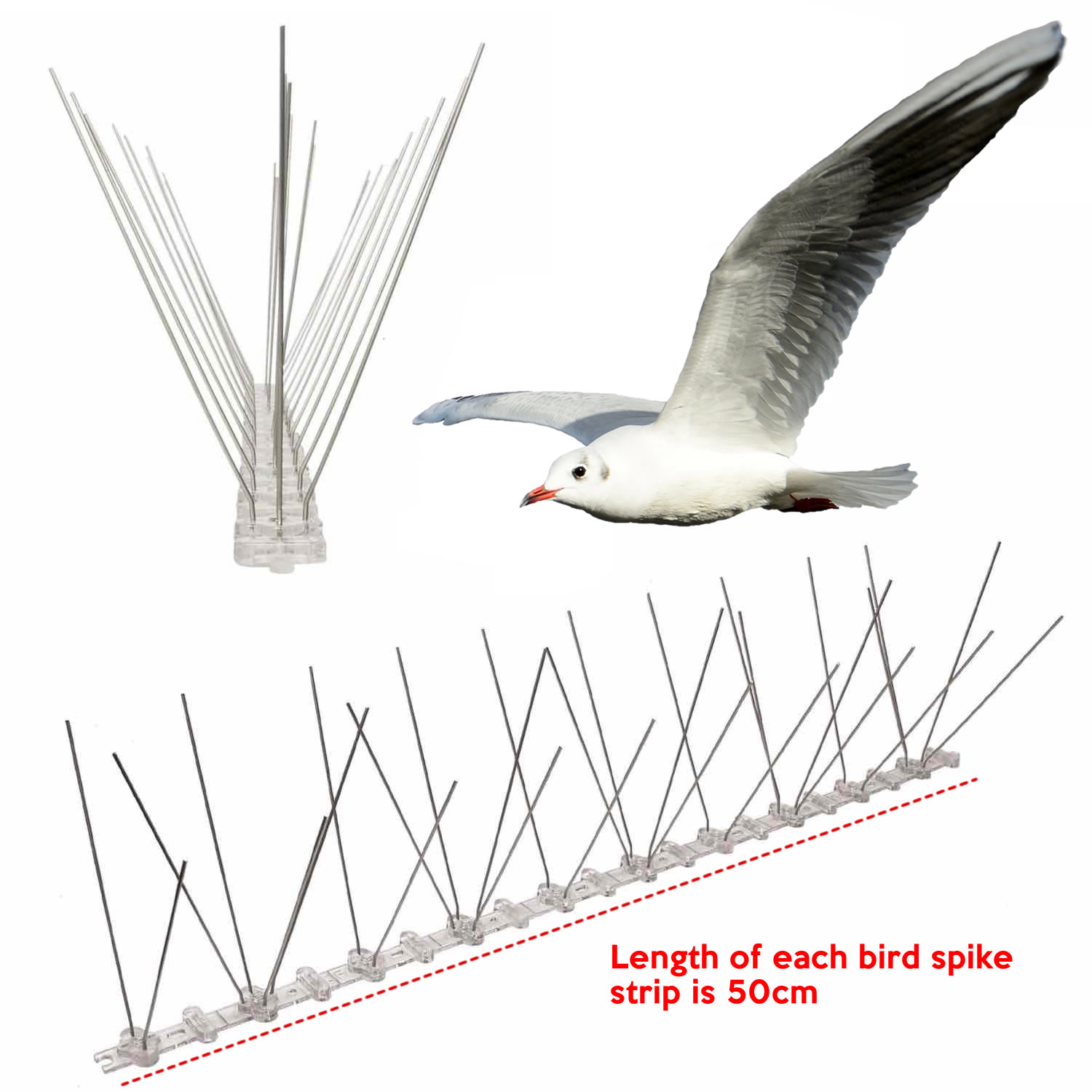 Anti-Seagull Spikes | Seagull Deterrent Spike Strips (per 50 cm strip)
