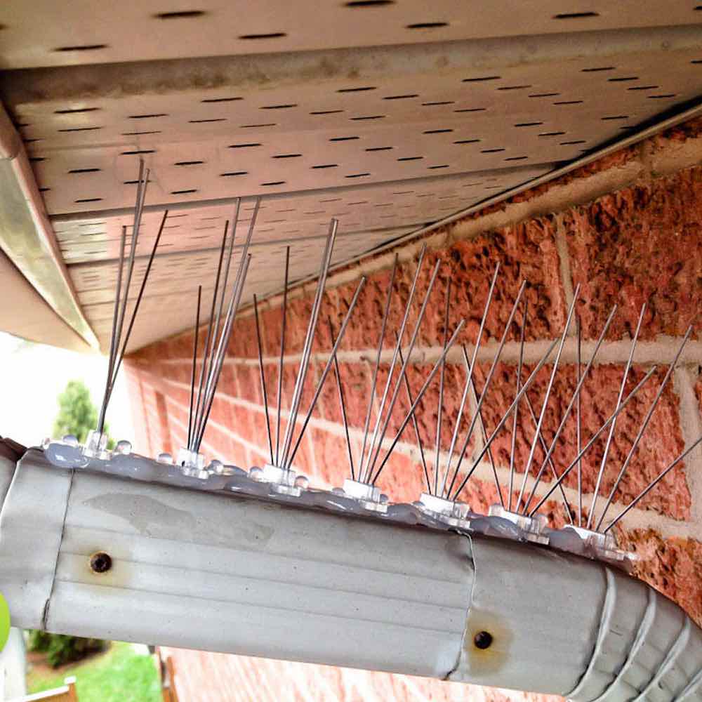 Anti-Sparrow Spikes | Sparrow Deterrent Spike Strips (per 50 cm strip): image 2