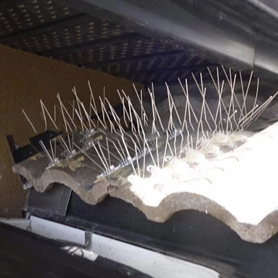 Anti-Sparrow Spikes | Sparrow Deterrent Spike Strips (per 50 cm strip): image 3