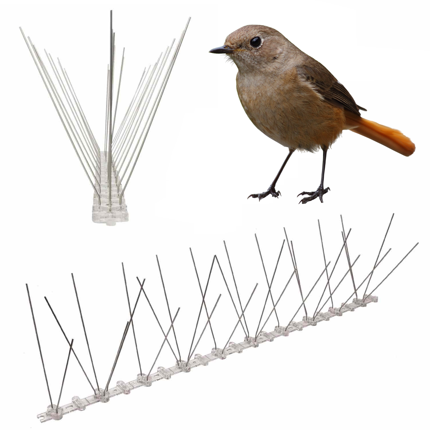 Anti-Wren Spikes | Wren Deterrent Spike Strips (per 50 cm strip)