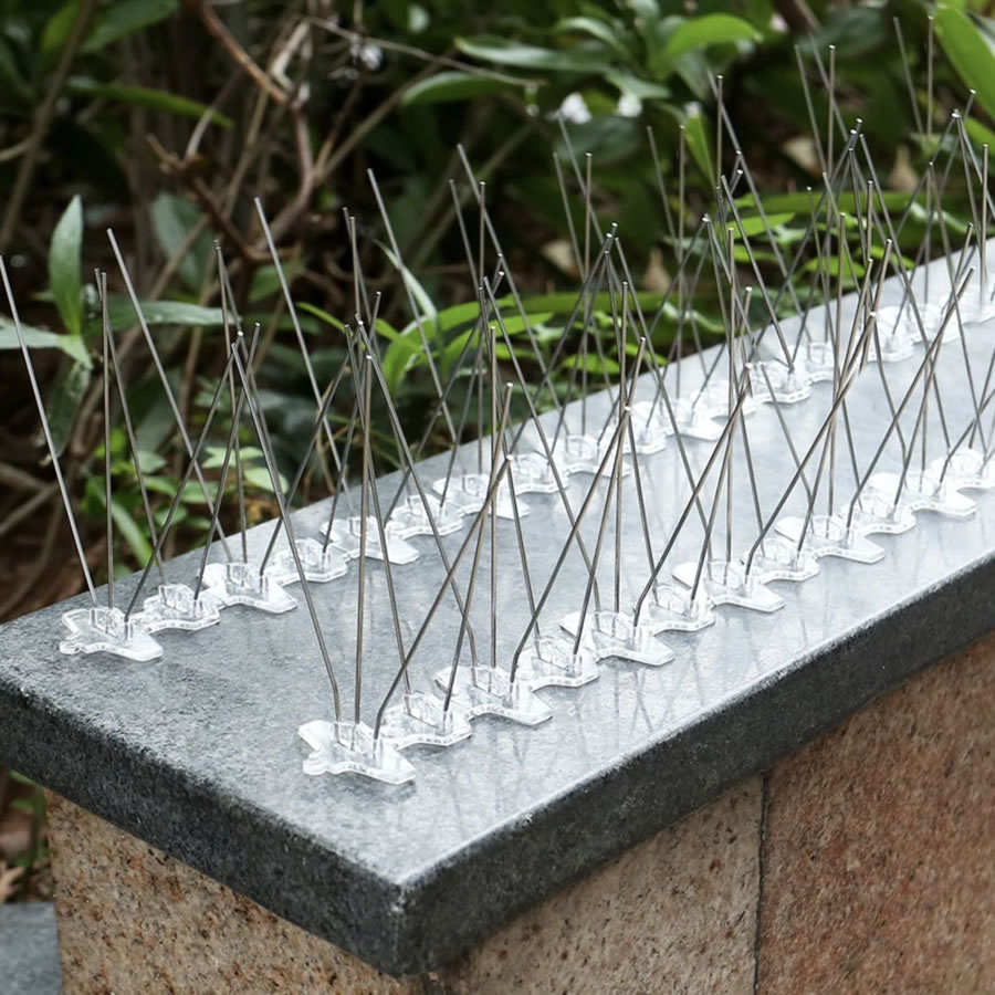 Anti-Wren Spikes | Wren Deterrent Spike Strips (per 50 cm strip): image 3