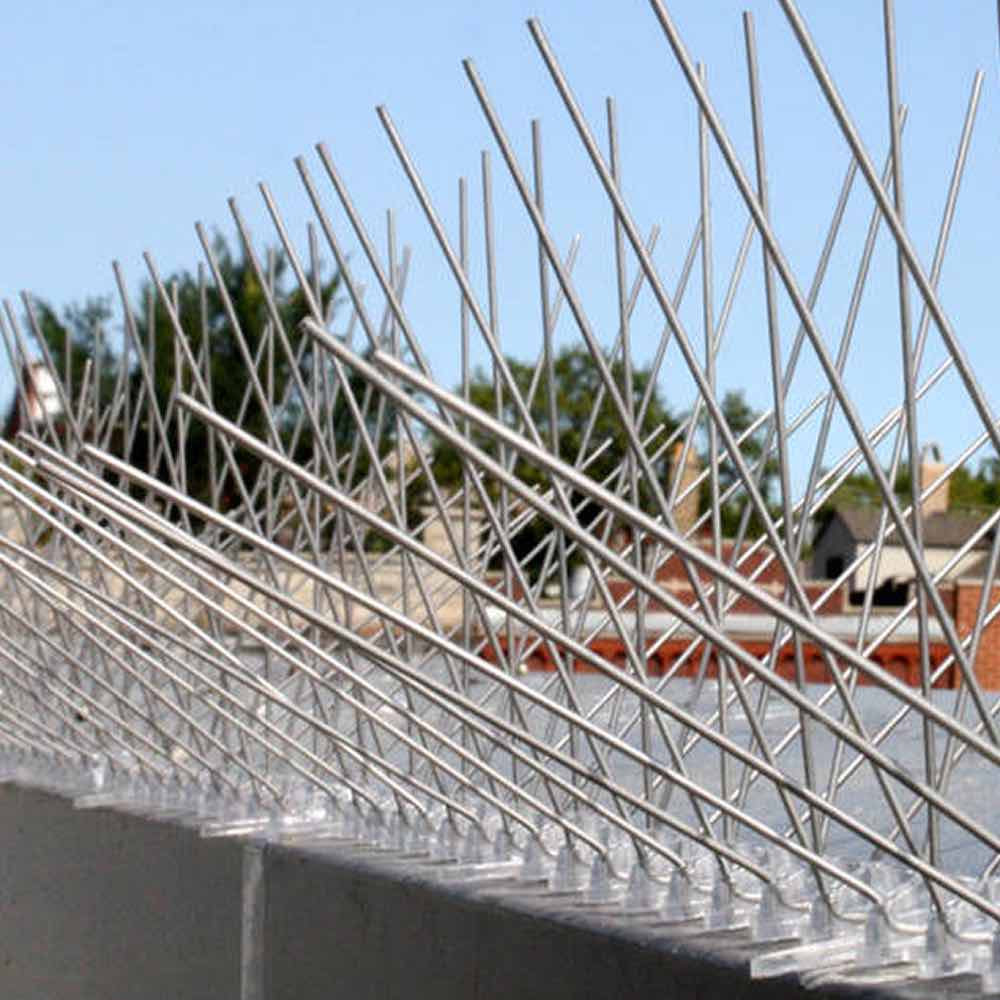 Anti-Wren Spikes | Wren Deterrent Spike Strips (per 50 cm strip): image 4